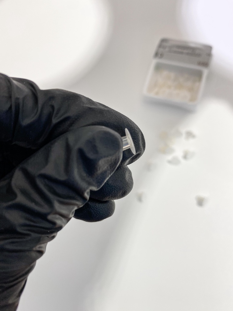 REPOSICIÓN DE DISCOS 8MM BLANCOS POLISHING X40UDS.