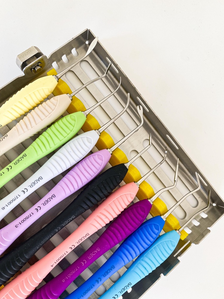 KIT DE 10 ESPATULAS CON CASETE METALICO