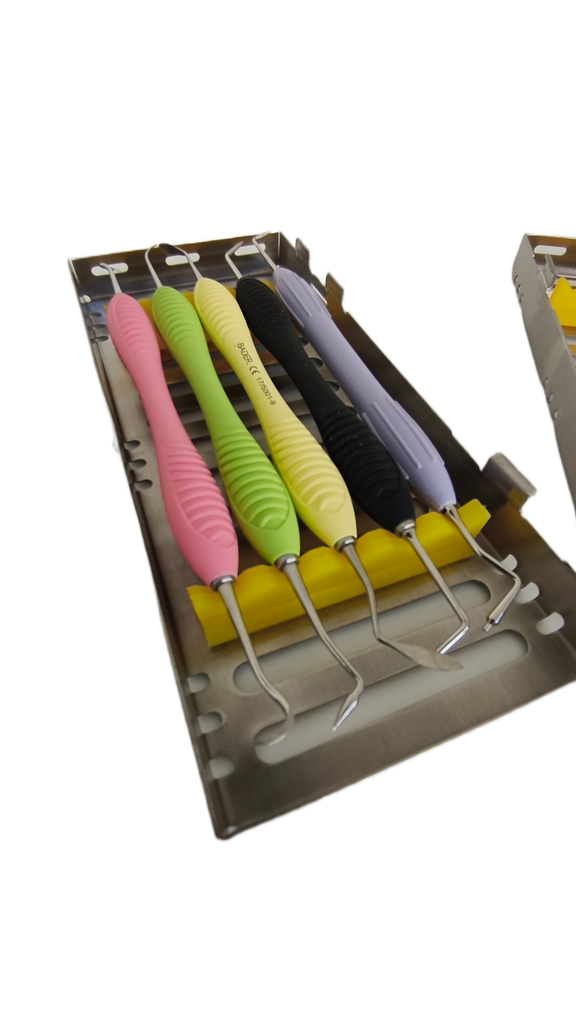 KIT DE 5 ESPATULAS PARA COMPOSITE A ELECCION BADERMASTER CON CASETE MATALICO