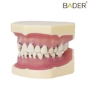 MODELO DE PERIODONCIA