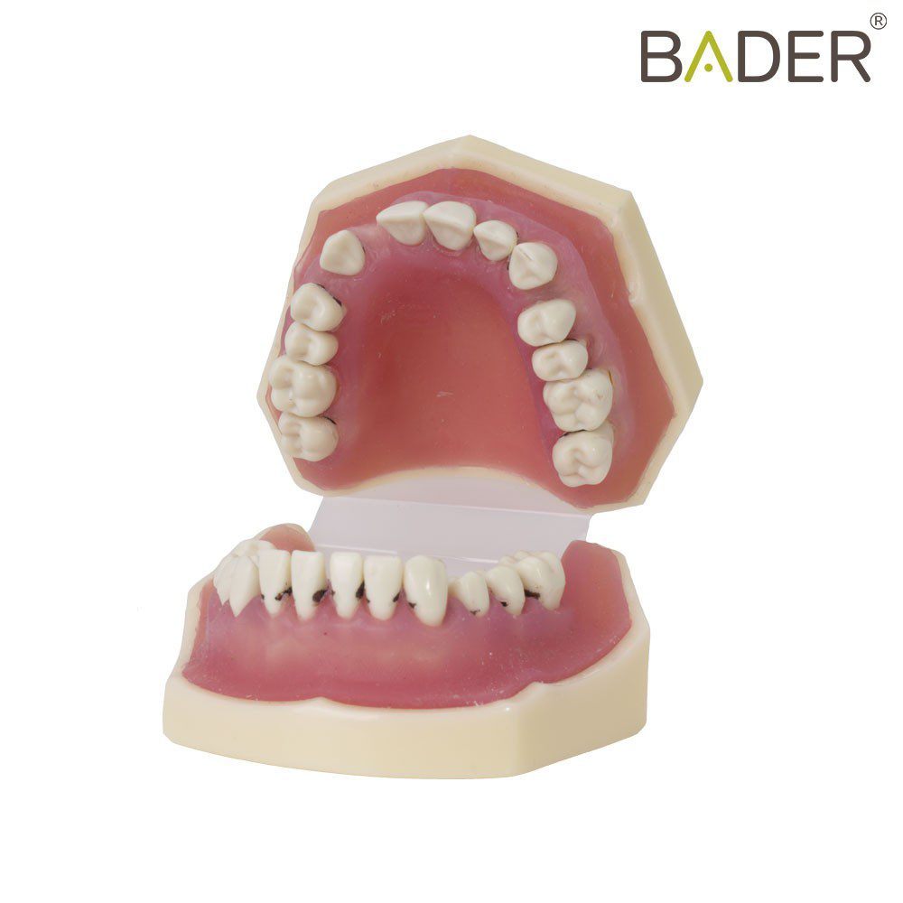 MODELO DE PERIODONCIA