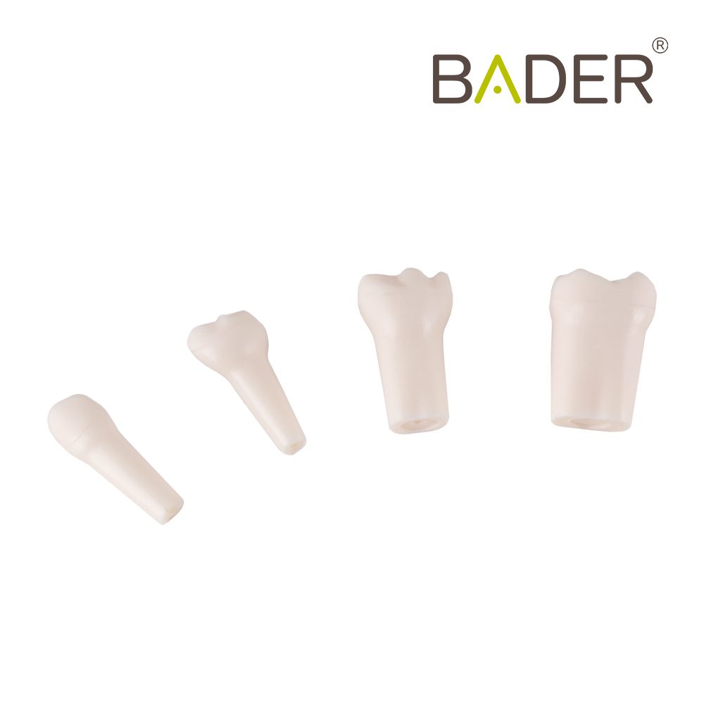 SET 24 DIENTES REPOSICIÓN TIPO AK-6 NIÑO