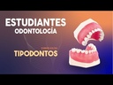 SET 32 DIENTES REPOSICIÓN PARA TIPODONTO AG3 ADULTO