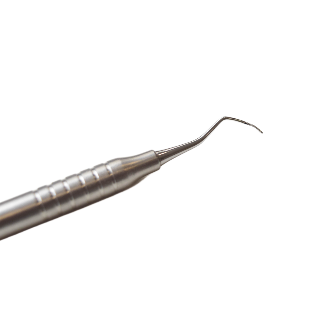 CINCEL DE RHODES BACKACTION