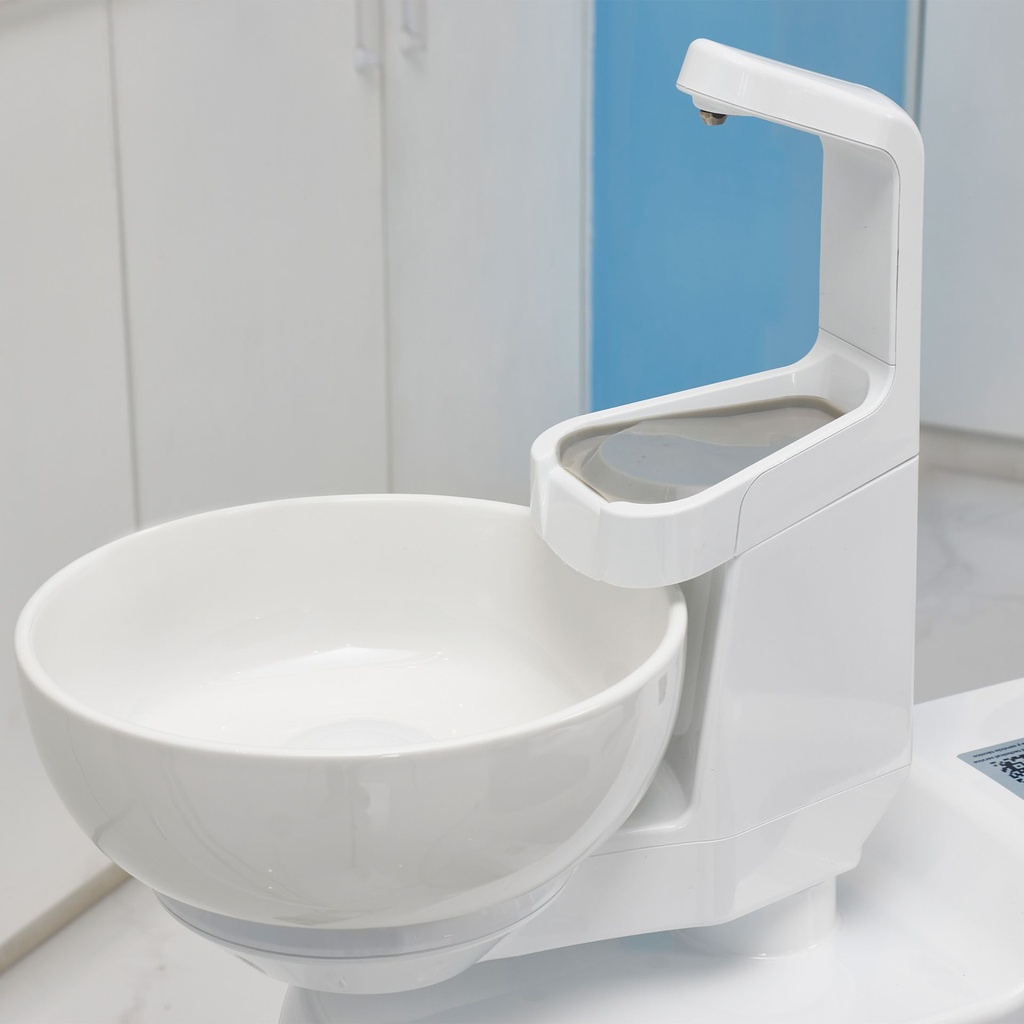 sftym1argentina e.jpg