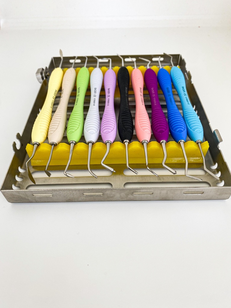 KIT DE 10 ESPATULAS CON CASETE METALICO