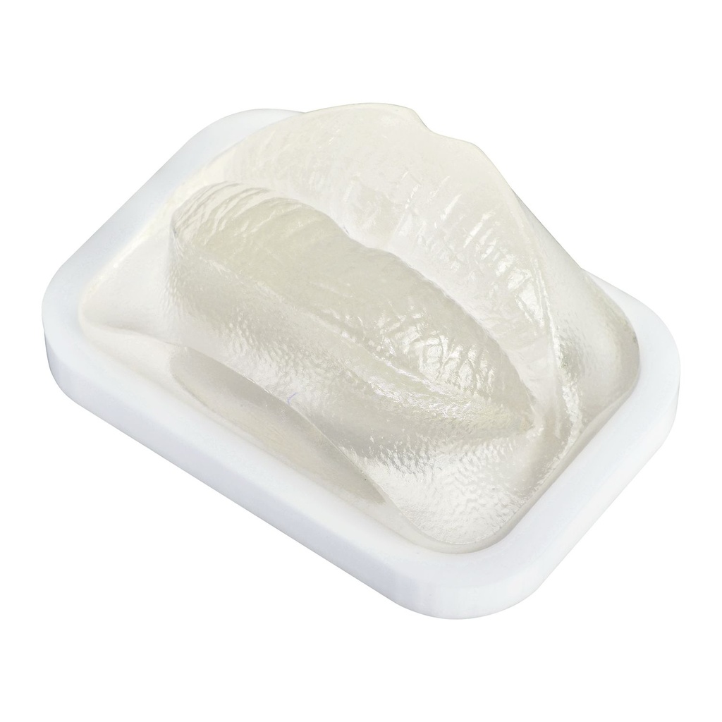 MODELO DE PRÁCTICA LABIO TRANSPARENTE