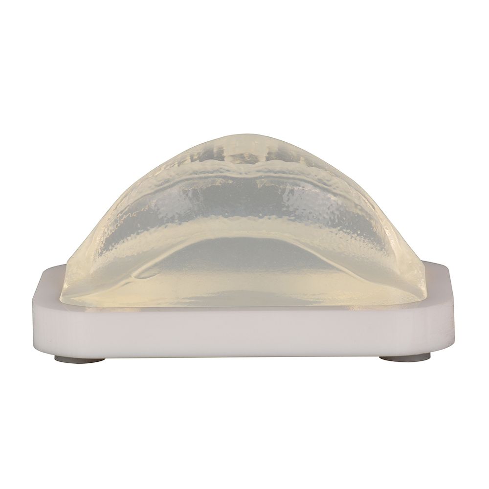 MODELO DE PRÁCTICA LABIO TRANSPARENTE