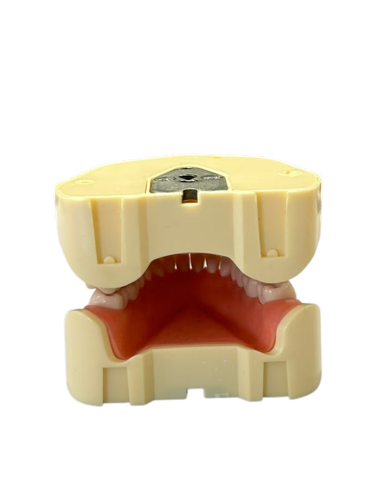 TIPODONTO CLONICO FRASACO AG-3 ADULTO