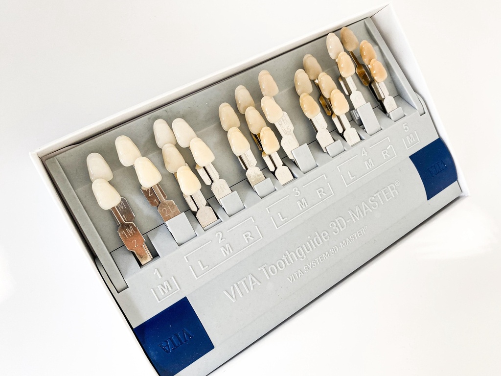 MUESTRARIO DE COLORES VITA MASTER