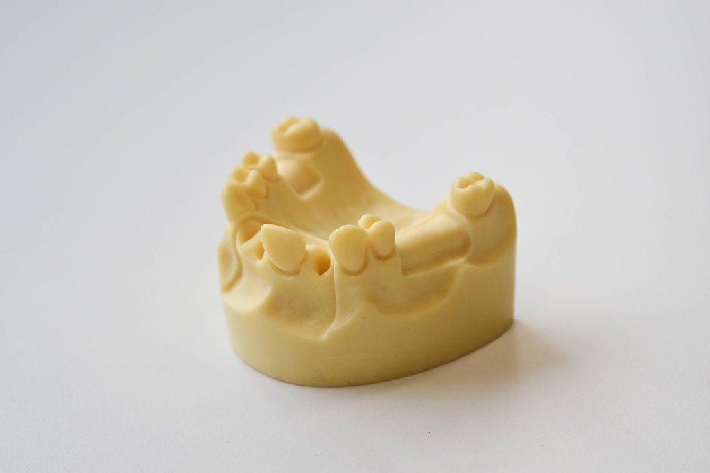 MODELO DESDENTADO PARCIAL PARA PRÁCTICA DE IMPLANTES