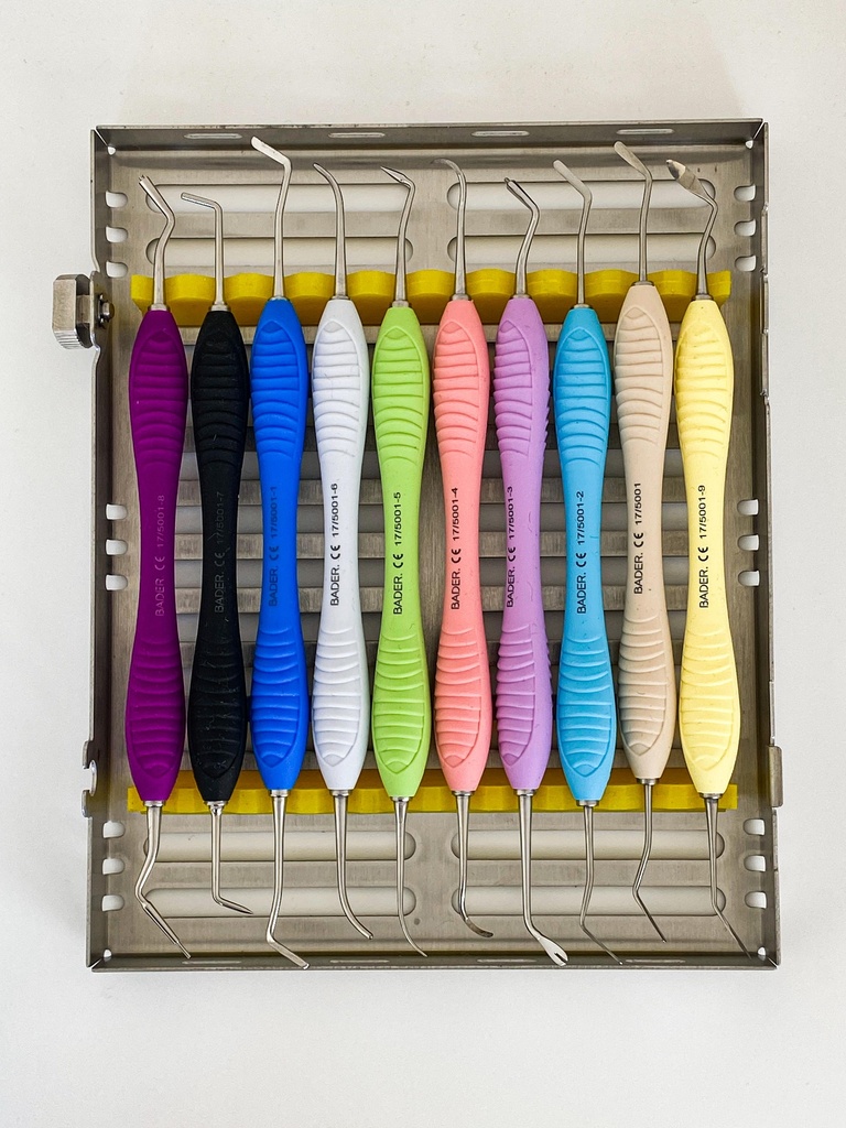 KIT DE 10 ESPATULAS PARA COMPOSITE BADERMASTER CON CASETE METALICO