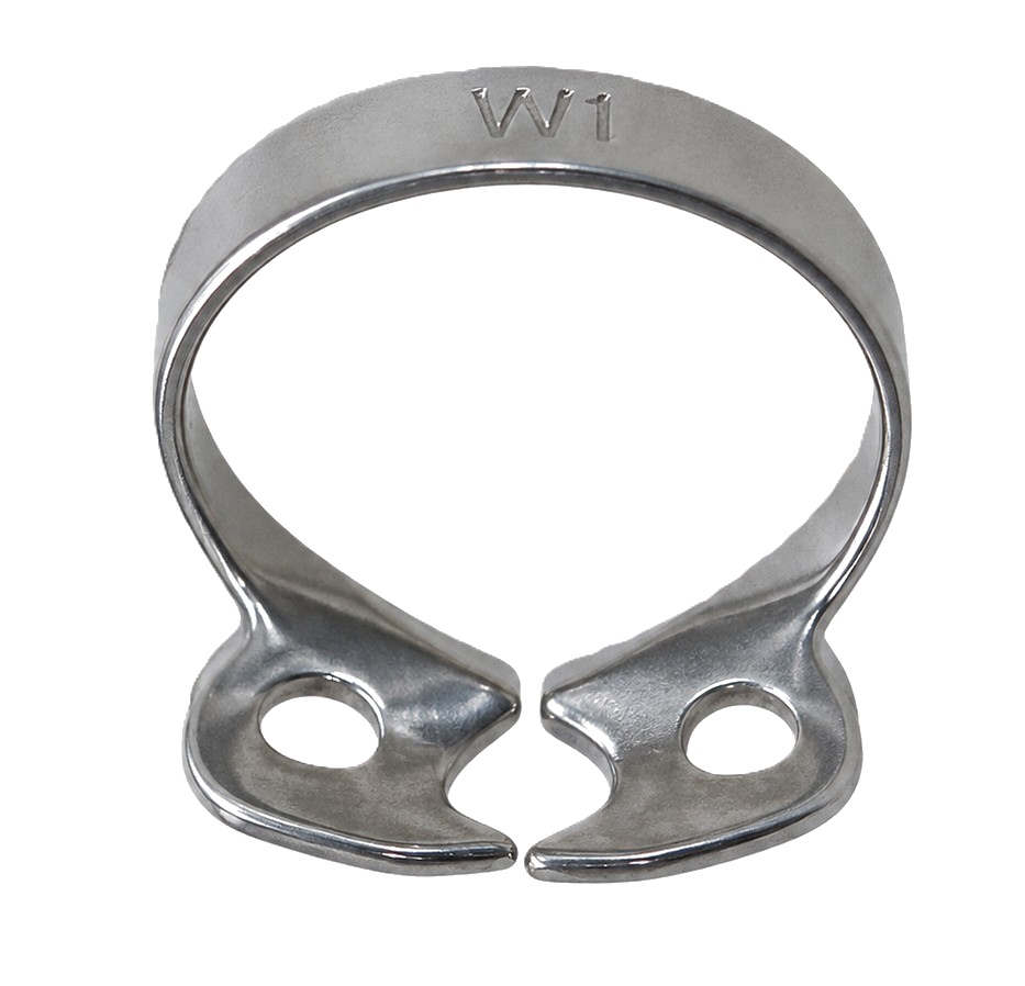 CLAMP W1