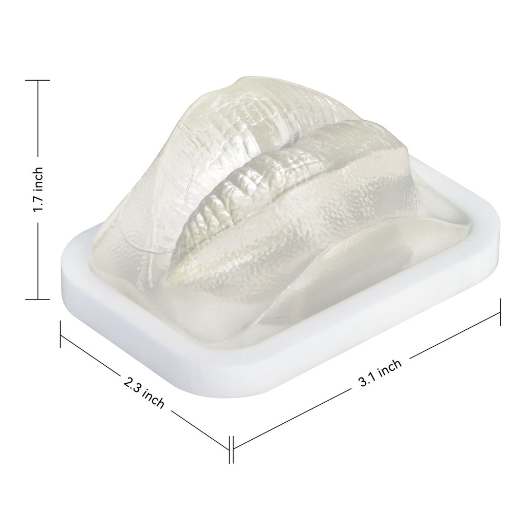 MODELO DE PRÁCTICA LABIO TRANSPARENTE