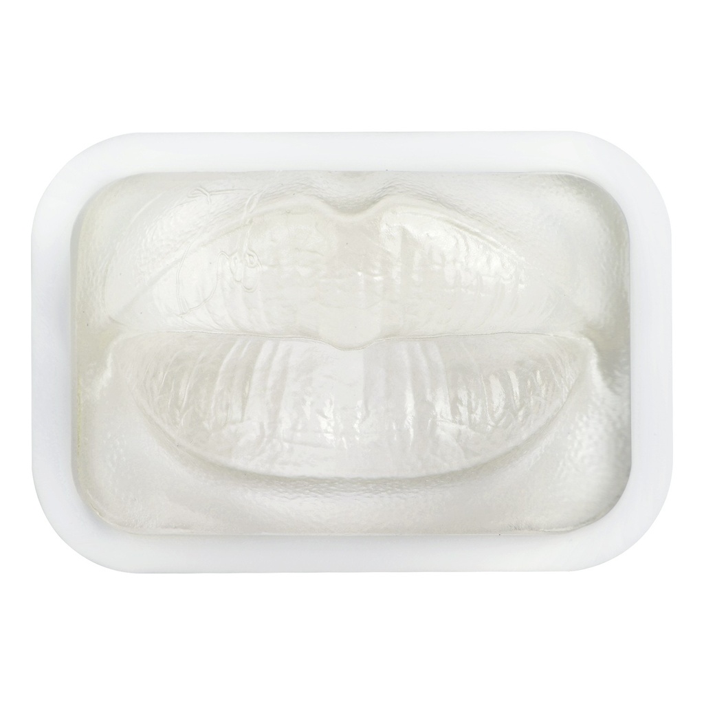 MODELO DE PRÁCTICA LABIO TRANSPARENTE