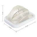 MODELO DE PRÁCTICA LABIO TRANSPARENTE