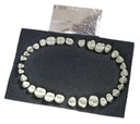 SET 32 DIENTES REPOSICIÓN PARA TIPODONTO AG3 ADULTO