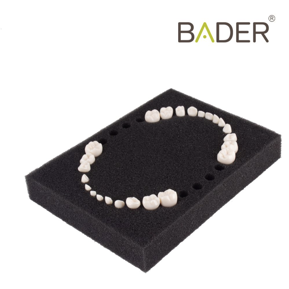 SET DE 28 DIENTES PARA TIPODONTO TIPO KAVO ADULTO