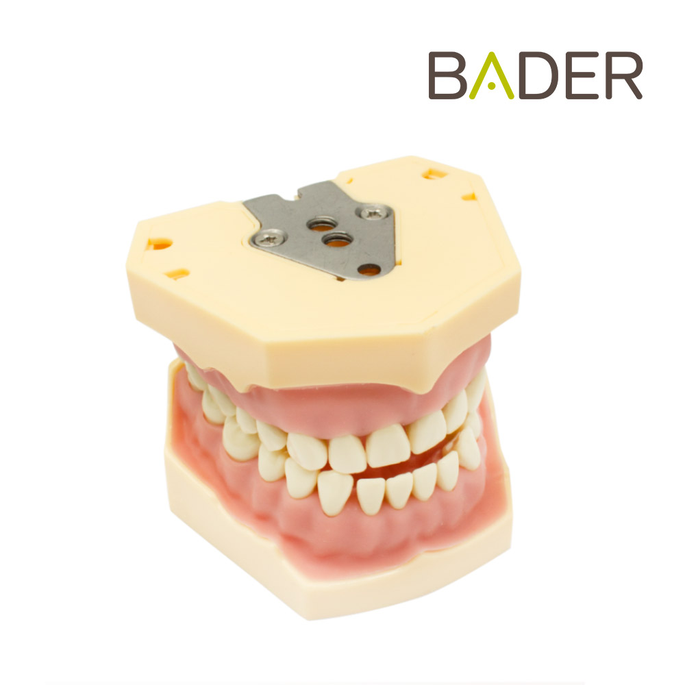 TIPODONTO CLONICO FRASACO 32 DIENTES - AG3