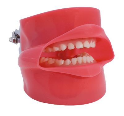 [0904004] TIPODONTO COMPLETO CON CARRILLO Y DRENAJE PARA MODELO SIMPLICITY