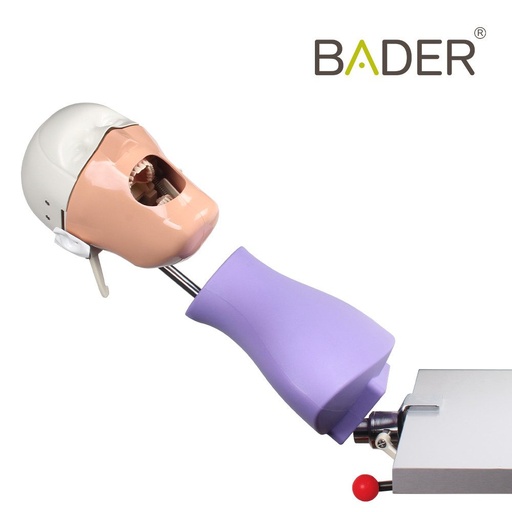 [0904011] FANTOMA MODELO DE PRÁCTICA CON ANCLAJE MESA