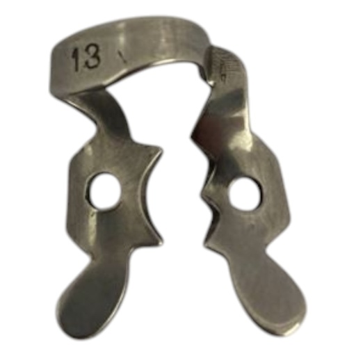 [17/4069-25] CLAMP 13