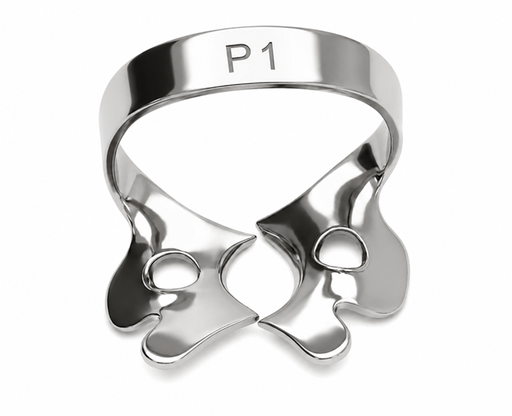 [C0041-1] CLAMP P1