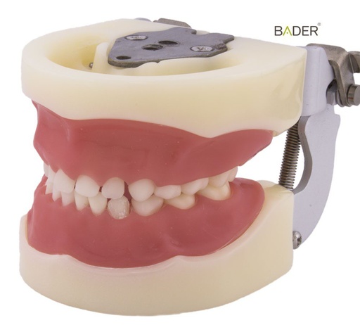 [0905000-3] TIPODONTO CLONICO NISSIN PEDIÁTRICO CON ARTICULADOR