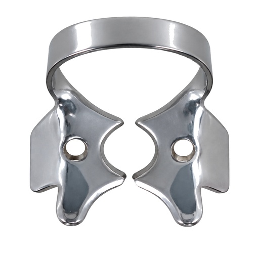 [17/5043] CLAMP 4