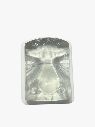 [0905168] MODELO DE PRÁCTICA NARIZ TRANSPARENTE