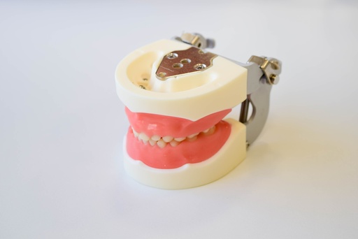 [0905000-3UD] TIPODONTO TIPO NISSIN PEDIÁTRICO