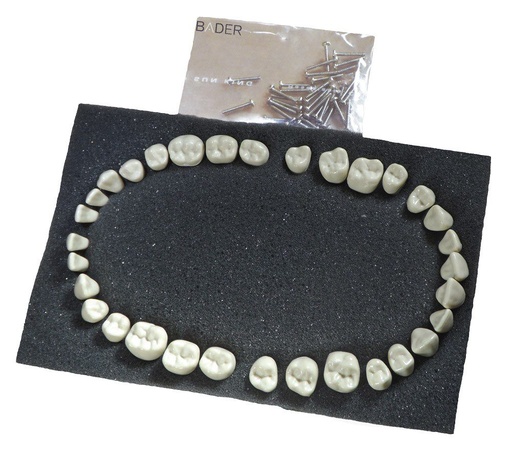 [0905000-1] SET 32 DIENTES REPOSICIÓN PARA TIPODONTO AG3 ADULTO