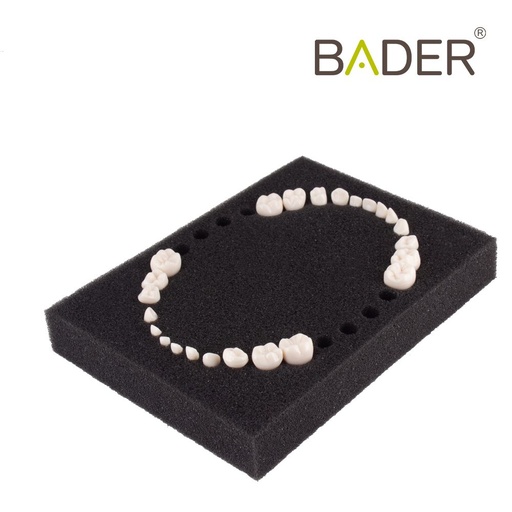 [0905000-10] SET 24 DIENTES REPOSICIÓN TIPO AK-6 NIÑO