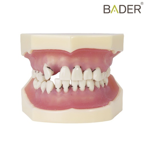 [0905109] MODELO DE PERIODONCIA