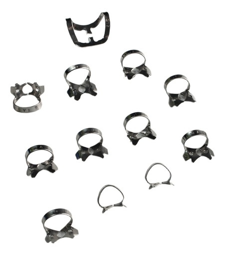 [C0127c] KIT DE CLAMPS A ELECCION x15